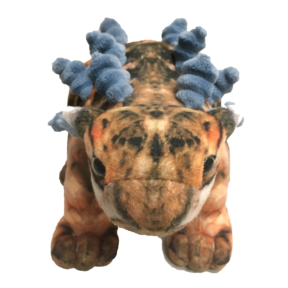 Ankylosaurus 15