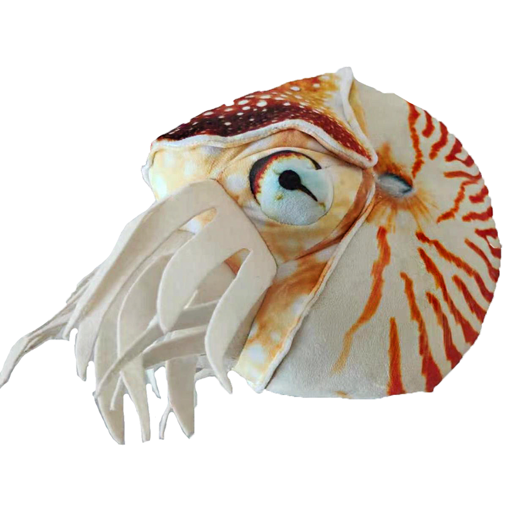 Rocks, Minerals, and Fossils – Texas Toy Distribution