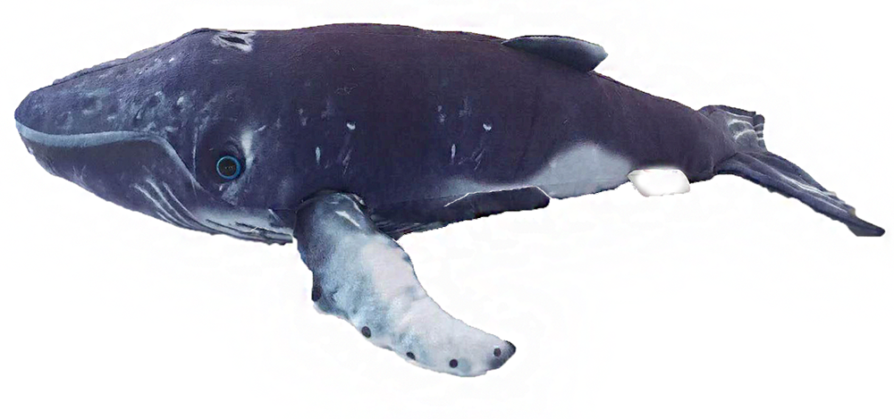 Humpback Whale 16" Plush Stuffed Animal