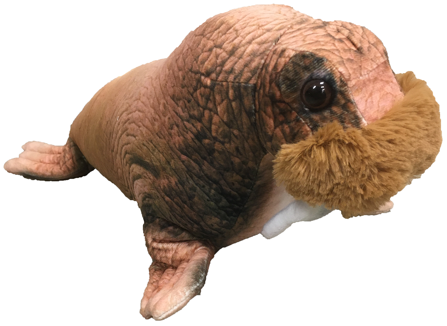 Walrus 16" Plush Aquatic Stuffed Animal