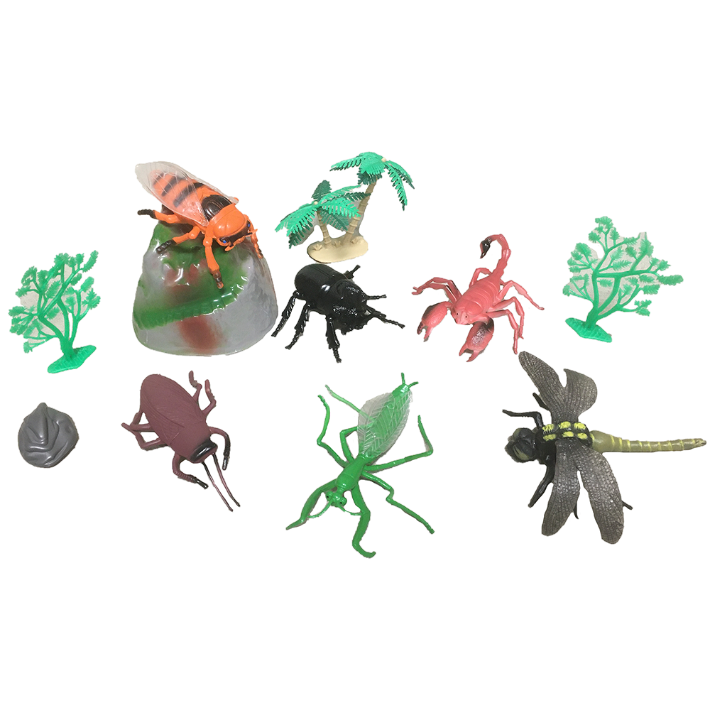 Insects 5